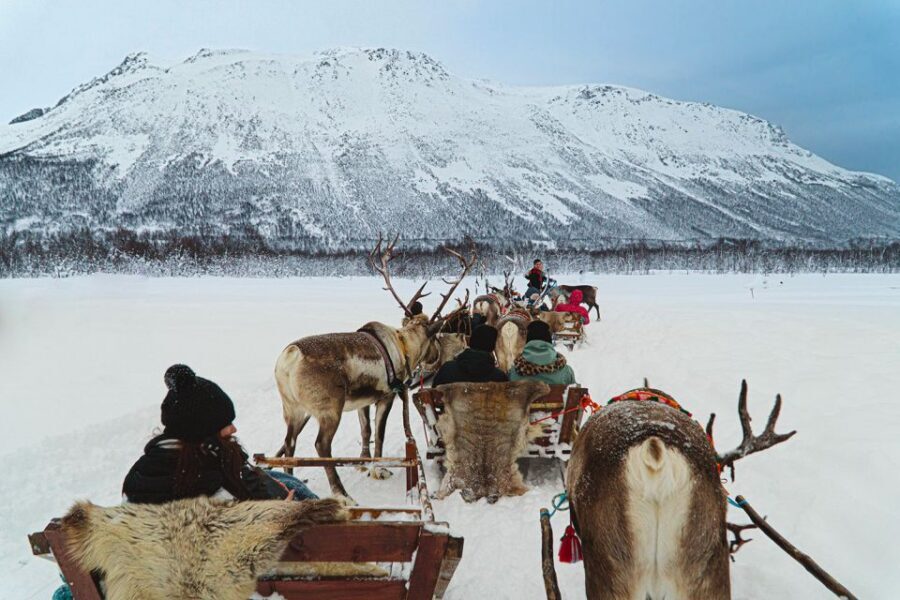 Tromsø: Sámi Reindeer Sledding and Sami Cultural Tour - The 30-Minute Sled Ride: How It Feels and What Controls the Timing