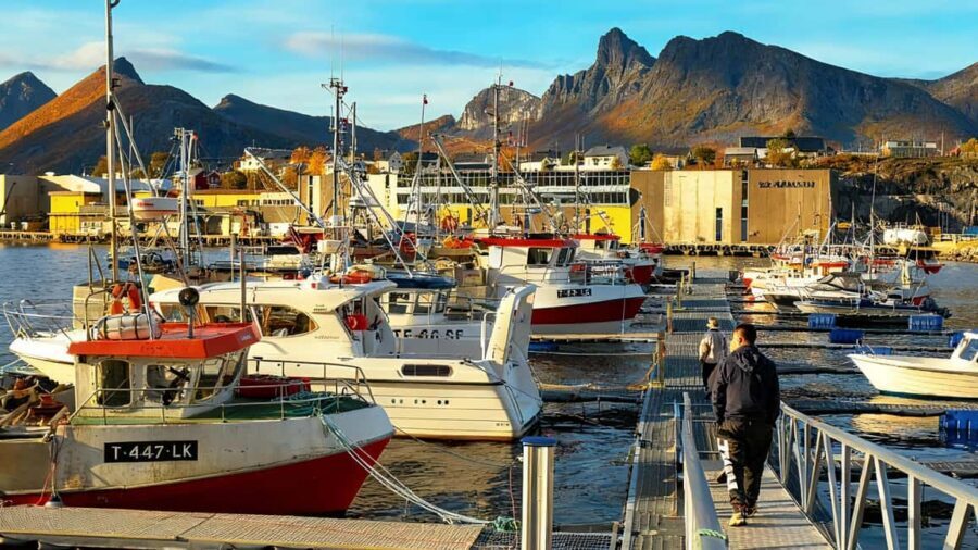 Tromsø: Senja Fjords & Coast Day Tour with FREE Photos - Ersfjord Beach: white sand meets Arctic ocean air