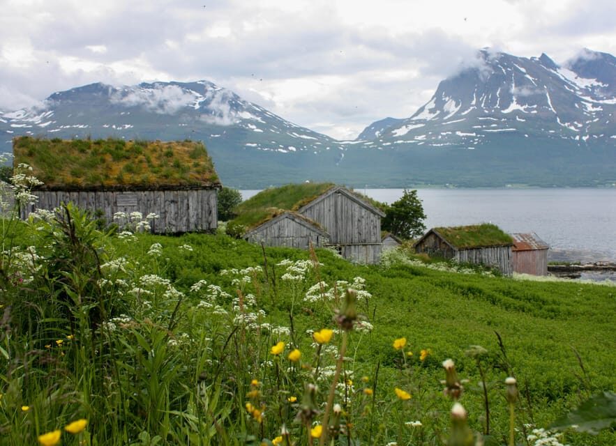 Tromsø: Small group Fjord Adventure, by Local - First Stops: Eidkjosen and Larseng Old Ferry Pier Views