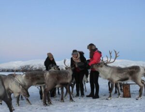 Tromsø: Snowshoeing Tour & Reindeer Encounter with Lunch - Tromsø Pickup and the Quick Ride Out of Town