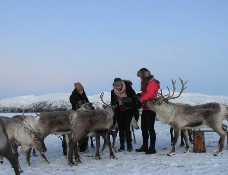 Tromsø: Snowshoeing Tour & Reindeer Encounter with Lunch - Tromsø Pickup and the Quick Ride Out of Town