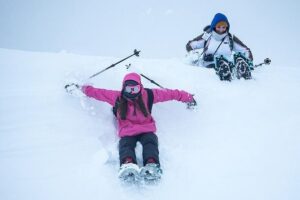 Tromso Snowshoeing - Valley, Fjord Views, Wildlife, Meal & Pickup - Wildlife watching: your best odds come from slow looking