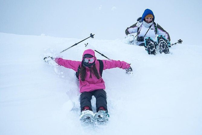 Tromso Snowshoeing - Valley, Fjord Views, Wildlife, Meal & Pickup - Wildlife watching: your best odds come from slow looking