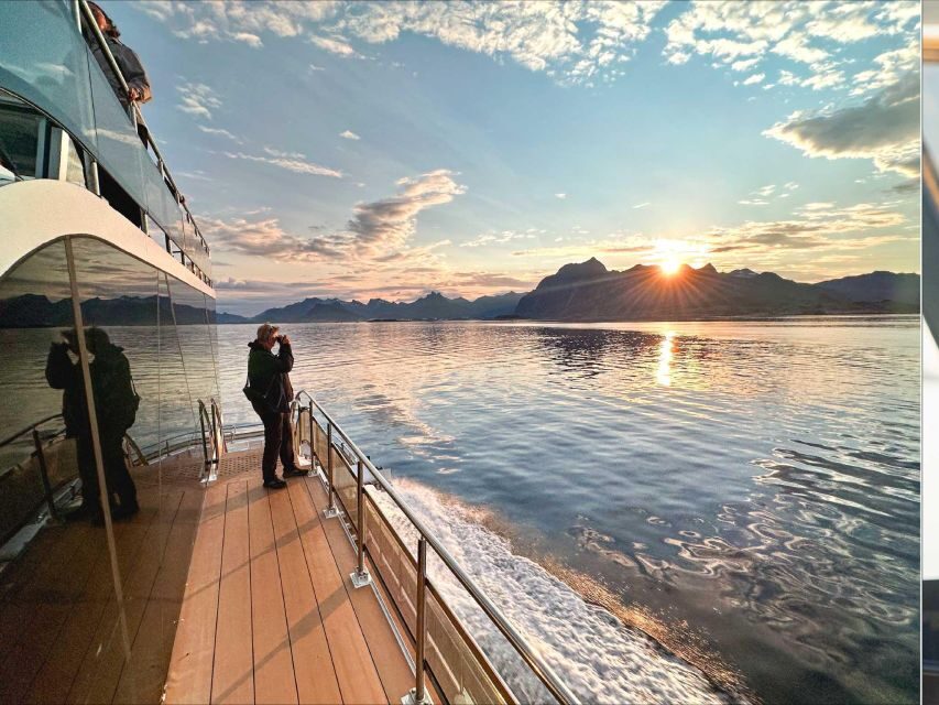 Tromsø: Summer Arctic Light Cruise with a Guide - Cozy Comfort and Guide Skills: Why the Stories Make It Worth It