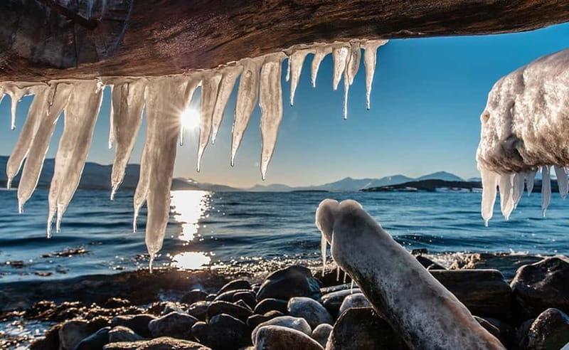 Tromsø: Winter Fjord Road Trip - Price and Value for a 4-Hour Arctic Experience