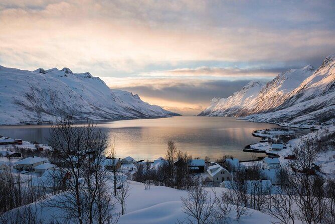 Winter Fjord Road Trip with Wandering Owl - The Kvaløya Route: Why the Driving Part Matters